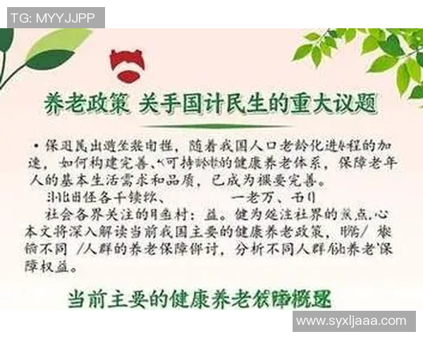 全面解析体育器材价格及市场趋势的详细指南